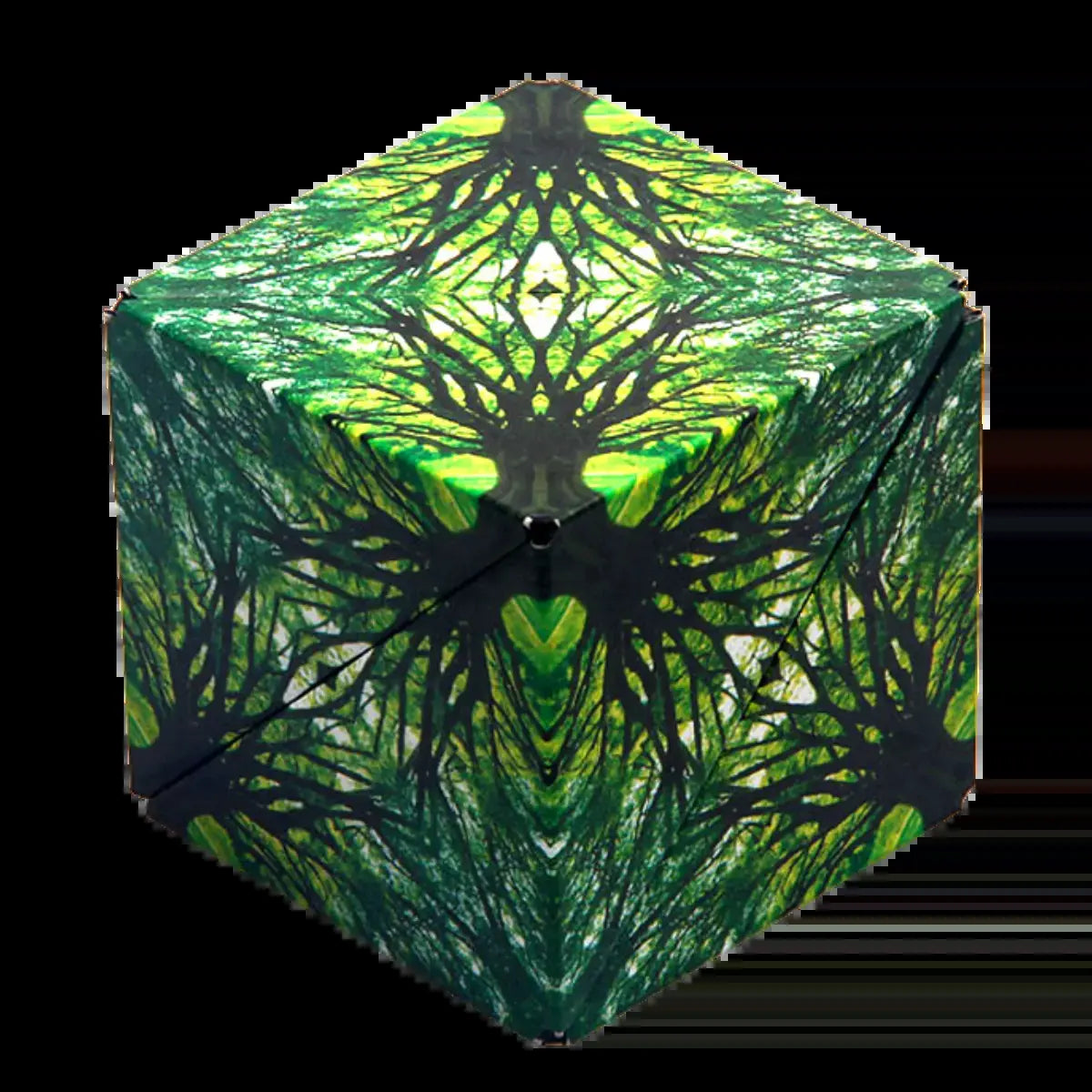 Shashibo Shashibo